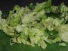 Cabbage and Sesame Slaw