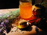 Homemade Lavender Honey from South West France