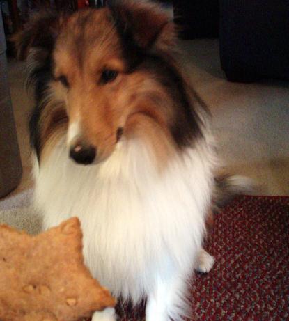 Peanut Butter Treats for Dogs. Photo by CA.TN