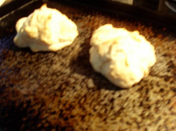 Fat Free, Low Cal Biscuits!. Photo by Health Nut 101