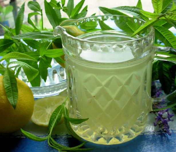 Old-Fashioned Lemon Verbena Lemonade Syrup. Photo by French Tart