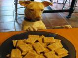 Crunchy Peanut Butter Dog Cookies. Photo by Deely