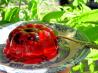 Old-Fashioned English Summer Berry Jelly and Ice Cream!