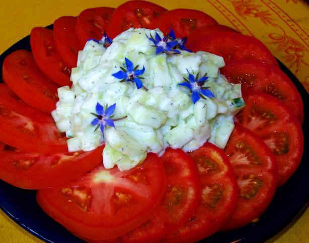 Red White and Blue Salad. Photo by Rita~