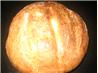 Psomi - Greek Bread