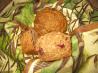 Multigrain–oatmeal-Craison Spice Muffins