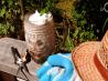Frozen Mint Chocolate Boccacino. Recipe by SaffronMeSilly