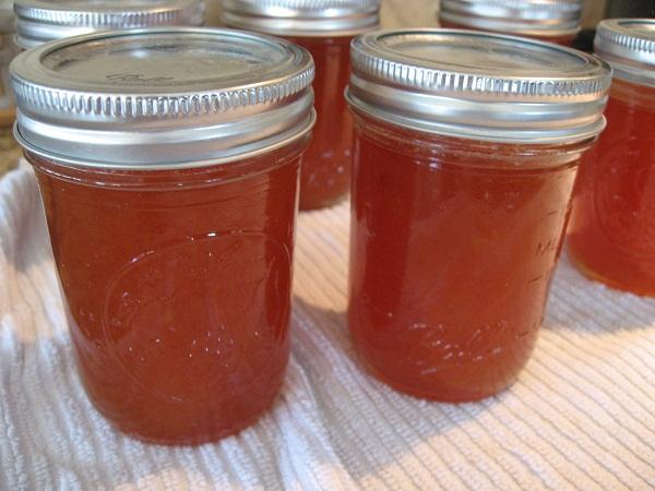 Peach Preserves. Photo by mtbikeTX