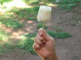 Pineapple Coconut Popsicles. Photo by MomLuvs6