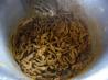 Beef Stir Fry