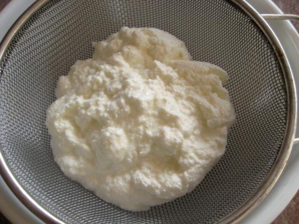Cottage Cheese