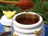Homemade Lavender Honey