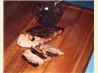 Jamaican Pork Tenderloin
