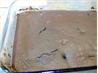 Fudgy Low-Fat Brownies