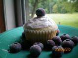Blueberry Lemon Cupcakes
