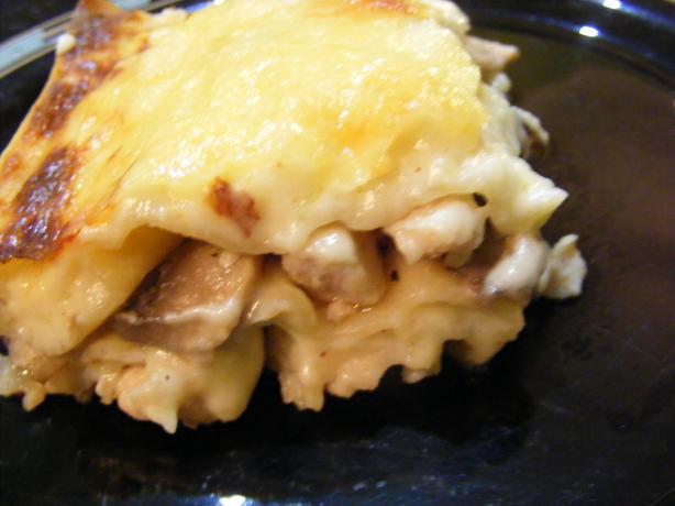 Chicken & Mushroom Lasagne. Photo by Sara 76