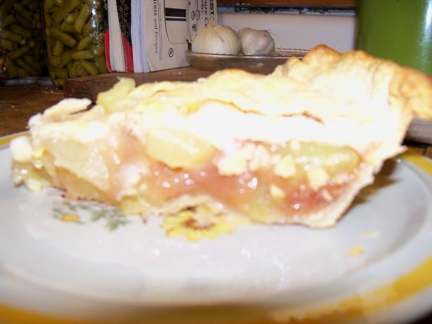 Zucchini Pie "mock Apple Pie". Photo by Serena #485247