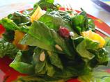 Sunflower Orange Spinach Salad