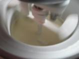 Toasty Coconut Ice Cream