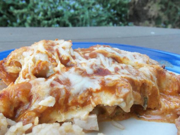 Creamy Cheesy Chicken Enchiladas. Photo by AZPARZYCH