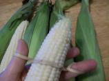 Threading Corn on the Cob