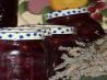 Blueberry Lavender Pie Filling for Canning. Recipe by PDXChef
