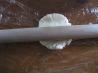 Easy Homemade Tortillas. Recipe by Chef #391478