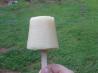 Pineapple and Lime Popsicles. Recipe by katew
