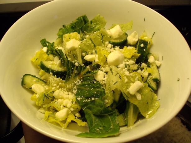 Greek Style Romaine Salad With Lemon and Fresh Dill. Photo by dicentra