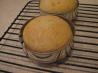 No-Knead Sandwich Rolls/Buns. Recipe by Galley Wench