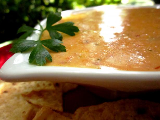 Spicy Cheese Dip (Microwave). Photo by gailanng