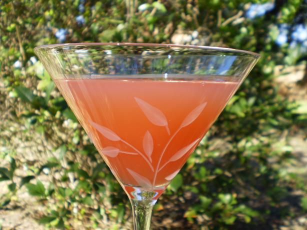Pink Grapefruit  Martini. Photo by breezermom