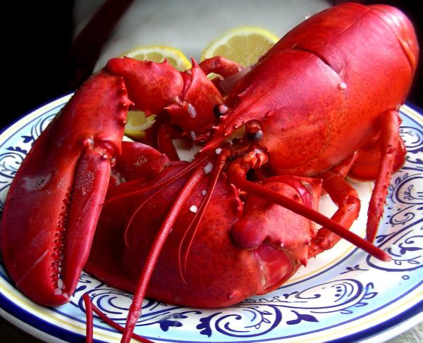How to Boil a Lobster - Farm Style - Longmeadow Farm. Photo by Andi of Longmeadow Farm