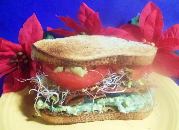 Veggiewiches With Avocado Spread. Photo by Sharon123