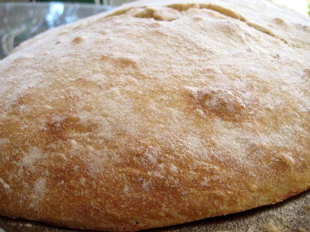 No-Knead Ciabatta. Photo by gailanng
