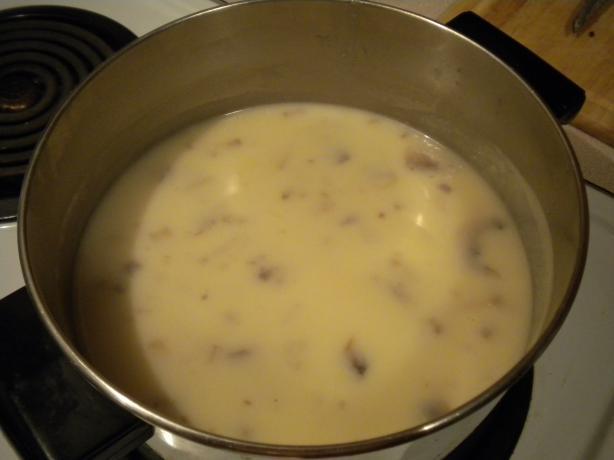 Fresh Cream of Mushroom Soup. Photo by Rob-ster
