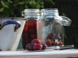 Plum Cordial. Photo by Pearlesyarn