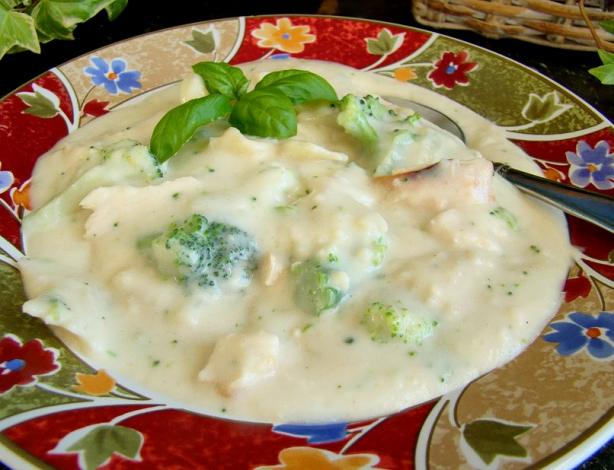 Light Chicken Broccoli Alfredo Soup (Lower Fat). Photo by Marg (CaymanDesigns)