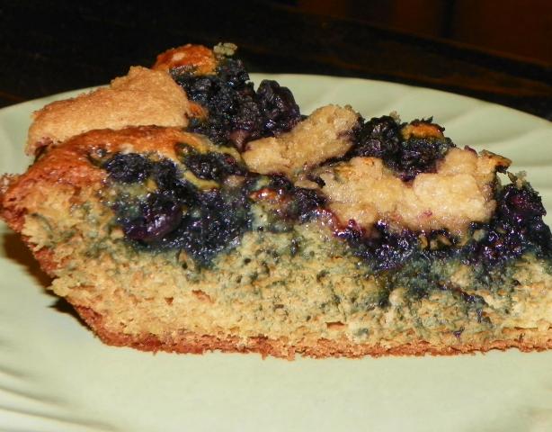 Blueberry Coffee Cake-You Won't Even Know That It's Healthy!. Photo by Baby Kato