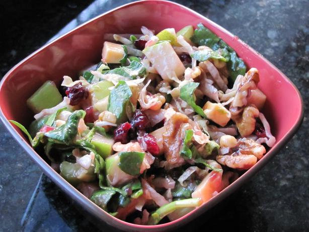 Apple Salad With Cranberry Vinaigrette. Photo by JanuaryBride