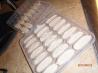 Frozen Banana Treats for Dogs. Recipe by The Daycare Lady