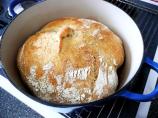 Harry's Whole Grain No Knead Dutch Oven Bread