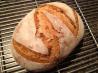 Harry's Whole Grain No Knead Dutch Oven Bread. Recipe by CIA Trained Chef