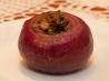French Stuffed Onions. Photo by Peter J