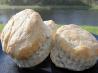 Southern Style Biscuits. Recipe by Librarybaker