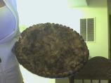 1/2 the Fat Strudel Pumpkin Cheesecake. Photo by Fat Free Queen