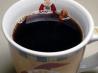Anyday Holiday Coffee