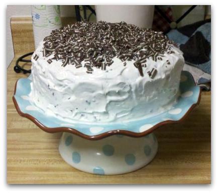 Andes Grasshopper Cake. Photo by Jburlingame32