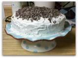Andes Grasshopper Cake