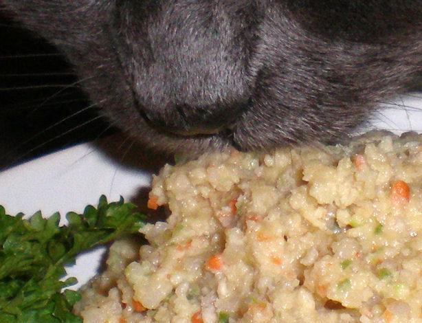 Fee's Special Kitty Cat Renal/Kidney/Diabetes Diet. Photo by Sandi (From CA)